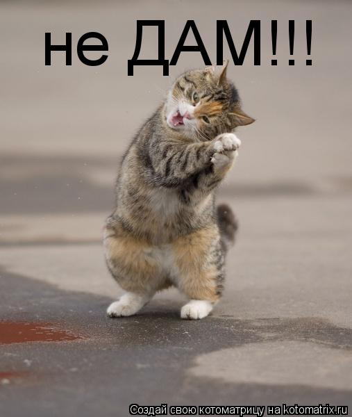 Котоматрица: не ДАМ!!!
