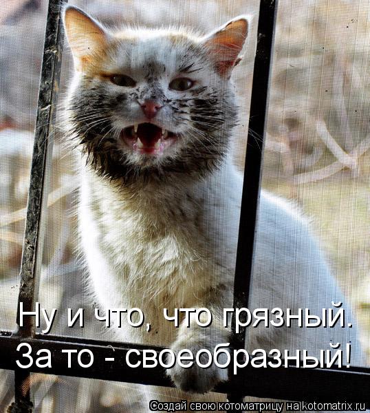 Ну и что, что грязный. За то - своеобразный!... Котоматрица: Ну и что, что грязный. За то - своеобразный!