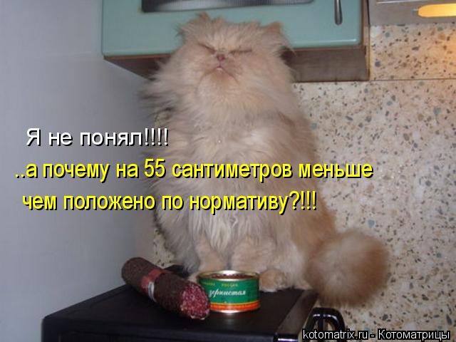 Я не понял!!!! ..а почему на 55 сантиметров меньше чем положено по нормативу?!!!... Котоматрица: Я не понял!!!! ..а почему на 55 сантиметров меньше чем положено по нормативу?!!!