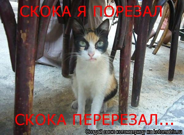 Котоматрица: СКОКА Я ПОРЕЗАЛ СКОКА ПЕРЕРЕЗАЛ...