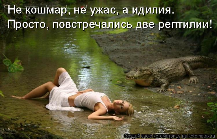 Котоматрица: Не кошмар, не ужас, а идилия. Просто, повстречались две рептилии!