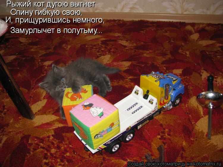 Котоматрица: Рыжий кот дугою выгнет Спину гибкую свою, И, прищурившись немного, Замурлычет в полутьму...