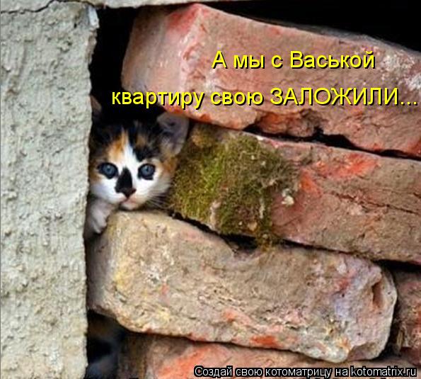 Котоматрица: А мы с Васькой  квартиру свою ЗАЛОЖИЛИ...