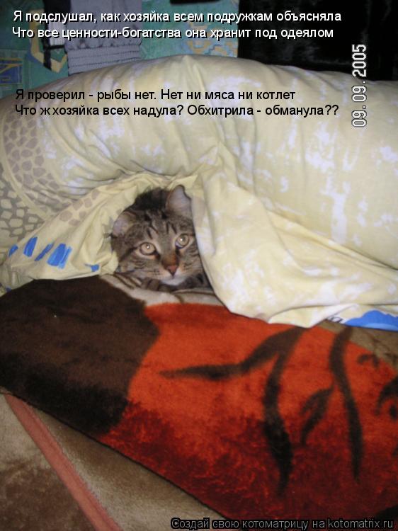 Котоматрица: Я подслушал, как хозяйка всем подружкам объясняла Что все ценности-богатства она хранит под одеялом Я проверил - рыбы нет. Нет ни мяса ни кот