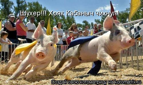 Котоматрица: Шухер!!! Хряк Кабаныч чихнул!