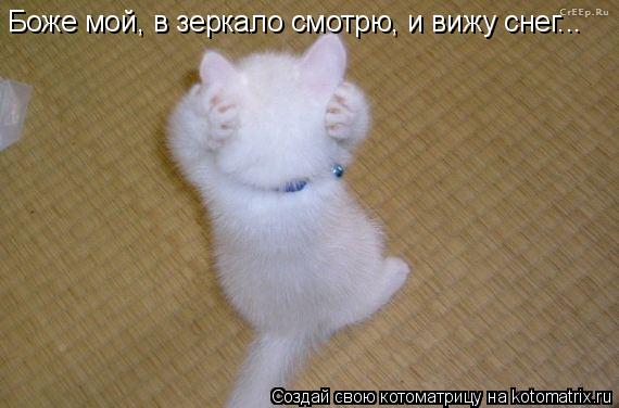 Котоматрица: Боже мой, в зеркало смотрю, и вижу снег...