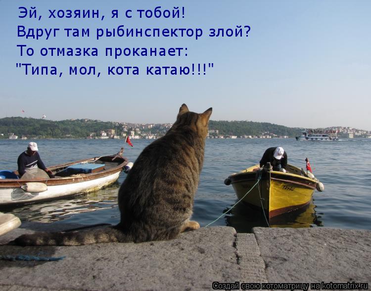 Котоматрица: Эй, хозяин, я с тобой! Вдруг там рыбинспектор злой? То отмазка проканает: "Типа, мол, кота катаю!!!"