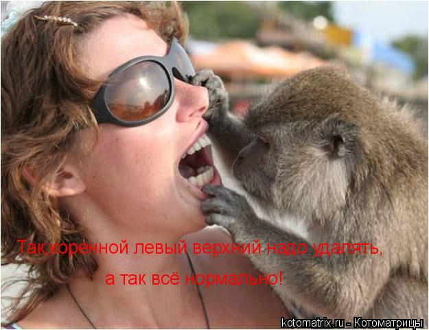 Так,коренной левый верхний надо удалять, а так всё нормально!... Котоматрица: Так,коренной левый верхний надо удалять, а так всё нормально!