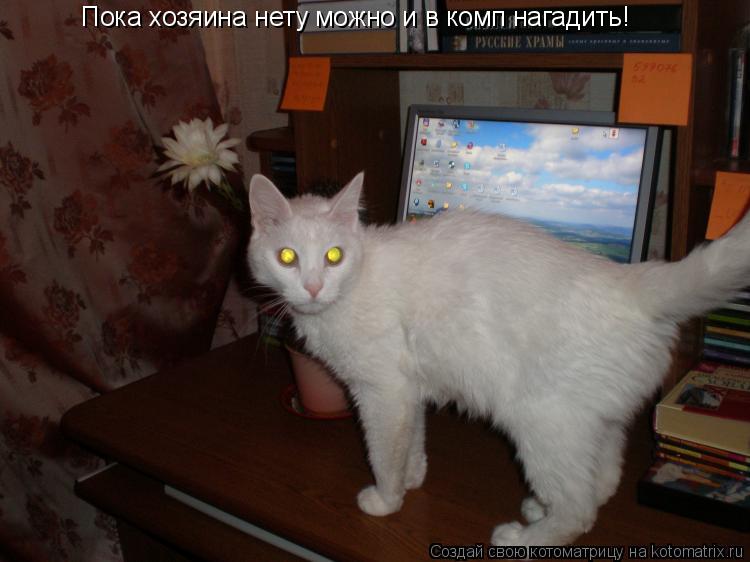 Пока хозяина нету можно и в комп нагадить!... Котоматрица: Пока хозяина нету можно и в комп нагадить!