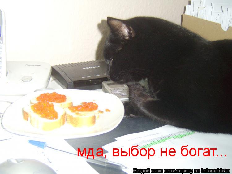 мда, выбор не богат...... Котоматрица: мда, выбор не богат...