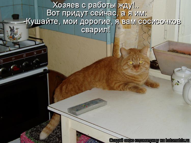 Котоматрица: Хозяев с работы жду!.. Вот придут сейчас, а я им:  -Кушайте, мои дорогие, я вам сосисочков сварил!
