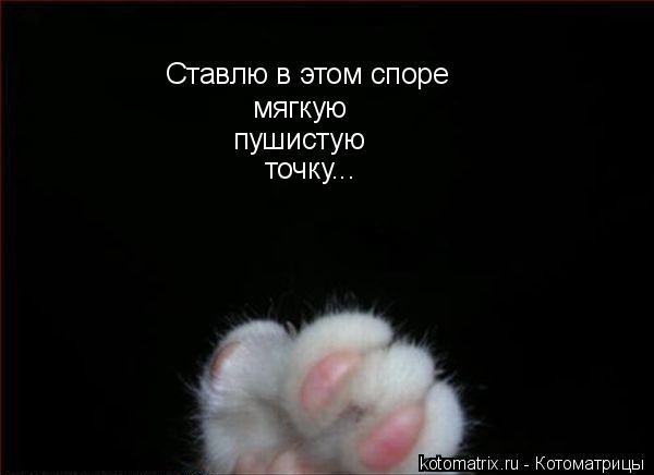 Котоматрица: Ставлю в этом споре мягкую пушистую точку...