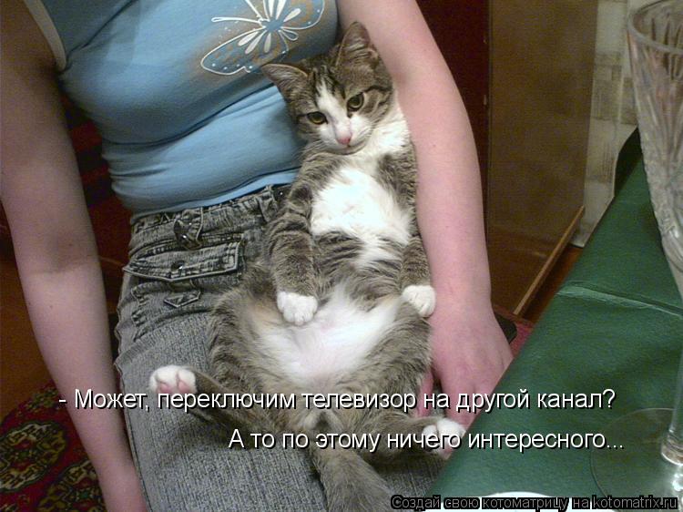 Котоматрица: - Может, переключим телевизор на другой канал? А то по этому ничего интересного...