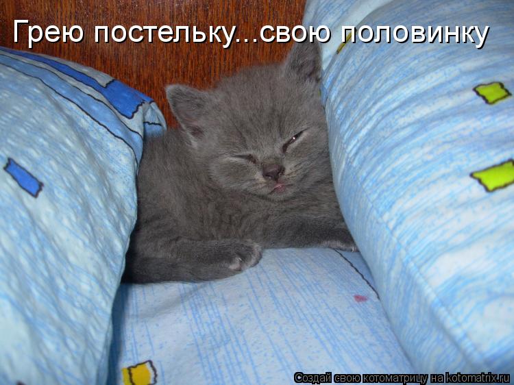 Котоматрица: Грею постельку...свою половинку