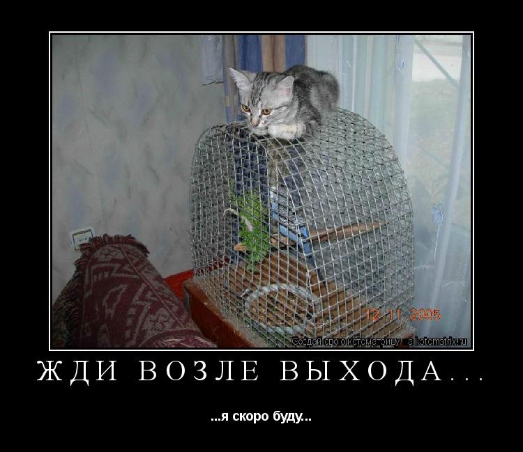 Котоматрица: Жди возле выхода... ...я скоро буду...