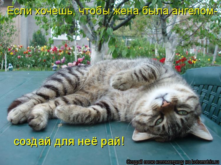 Если хочешь, чтобы жена была ангелом- создай для неё рай!... Котоматрица: Если хочешь, чтобы жена была ангелом- создай для неё рай!