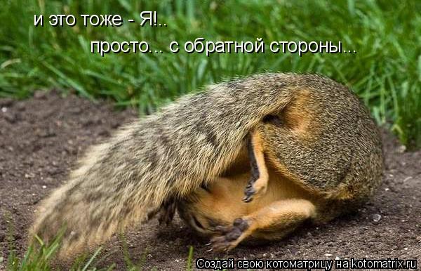 и это тоже - Я!.. просто... с обратной стороны...... Котоматрица: и это тоже - Я!.. просто... с обратной стороны...