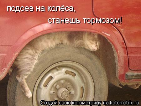 подсев на колёса, станешь тормозом!... Котоматрица: подсев на колёса, станешь тормозом!