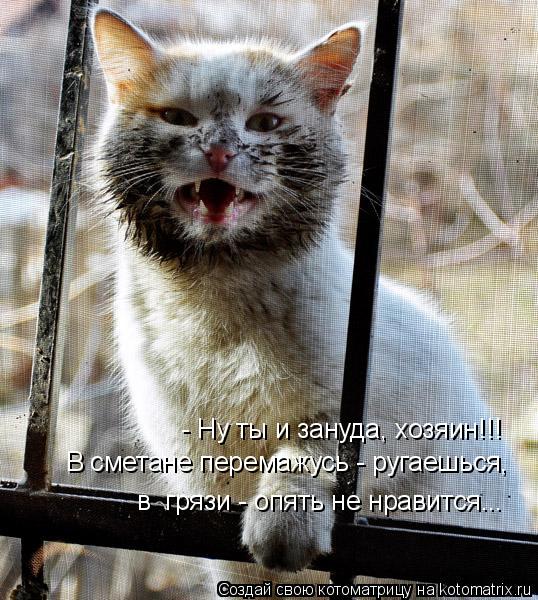 - Ну ты и зануда, хозяин!!! В сметане перемажусь - ругаешься, в грязи - опять не нравится...... Котоматрица: - Ну ты и зануда, хозяин!!! В сметане перемажусь - ругаешься, в грязи - опять не нравится...