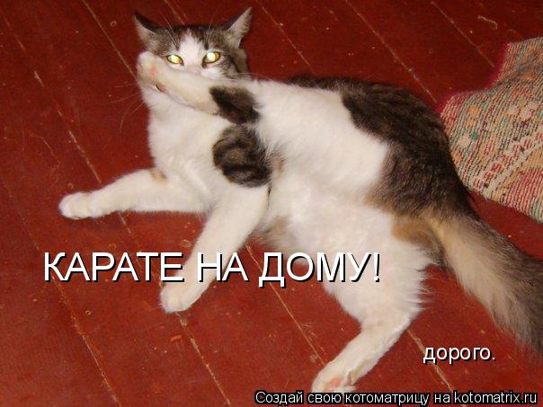 КАРАТЕ НА ДОМУ! дорого.... Котоматрица: КАРАТЕ НА ДОМУ! дорого.
