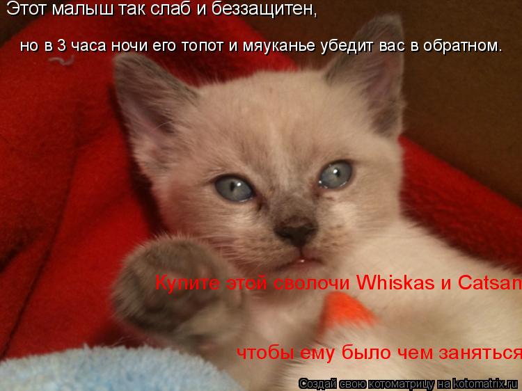 Этот малыш так слаб и беззащитен, но в 3 часа ночи его топот и мяуканье убедит вас в обратном. ... Котоматрица: Этот малыш так слаб и беззащитен, но в 3 часа ночи его топот и мяуканье убедит вас в обратном. Купите этой сволочи Whiskas и Catsan, чтобы ем