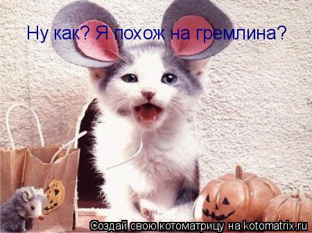 Ну как? Я похож на гремлина?... Котоматрица: Ну как? Я похож на гремлина?