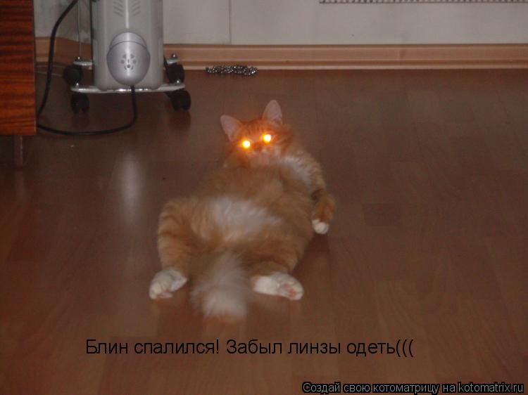 Блин спалился! Забыл линзы одеть(((... Котоматрица: Блин спалился! Забыл линзы одеть(((