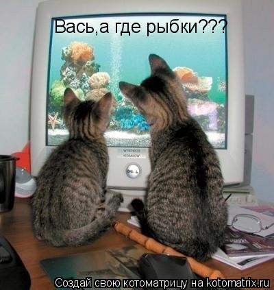 Котоматрица: Вась,а где рыбки???