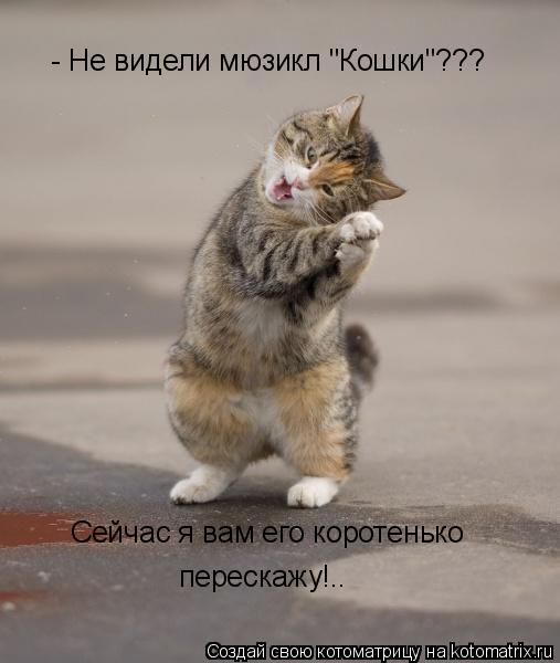 Котоматрица: - Не видели мюзикл "Кошки"??? Сейчас я вам его коротенько перескажу!..