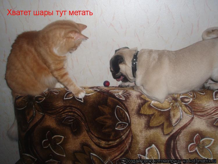 Котоматрица: Хватет шары тут метать