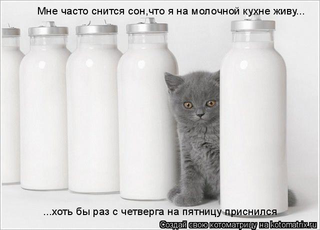 Котоматрица: Мне часто снится сон,что я на молочной кухне живу... ...хоть бы раз с четверга на пятницу приснился