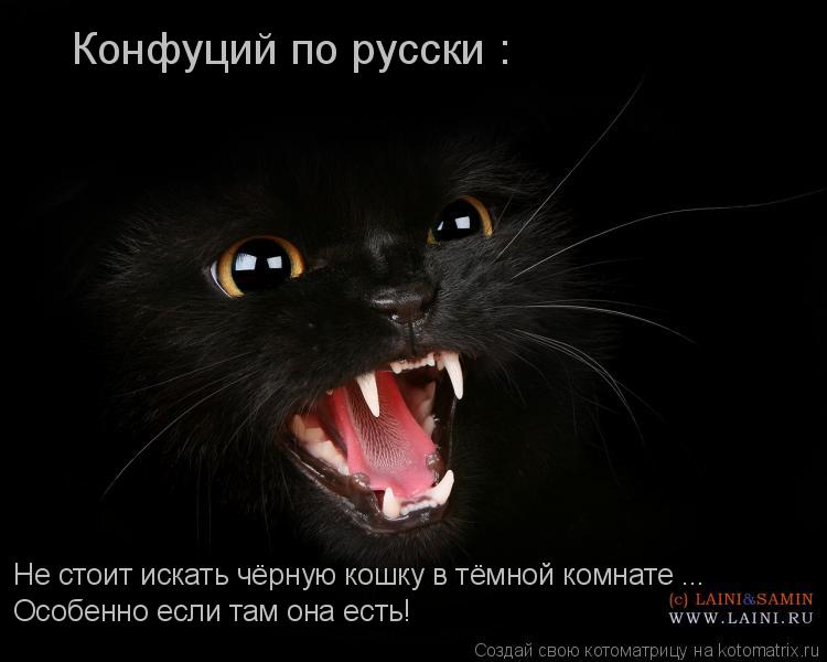 Котоматрица: Конфуций по русски : Не стоит искать чёрную кошку в тёмной комнате ... Особенно если там она есть!