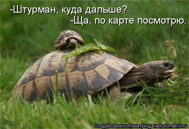 Котоматрица: -Ща, по карте посмотрю. -Штурман, куда дальше?