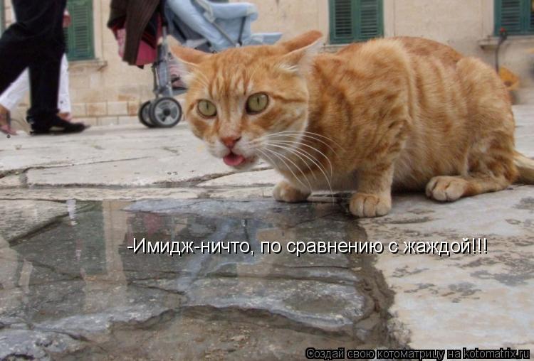Котоматрица: -Имидж-ничто, по сравнению с жаждой!!!