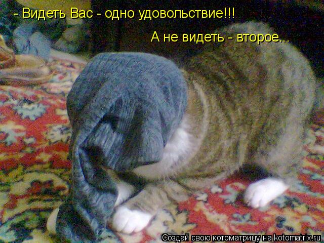 Котоматрица: А не видеть - второе... - Видеть Вас - одно удовольствие!!!