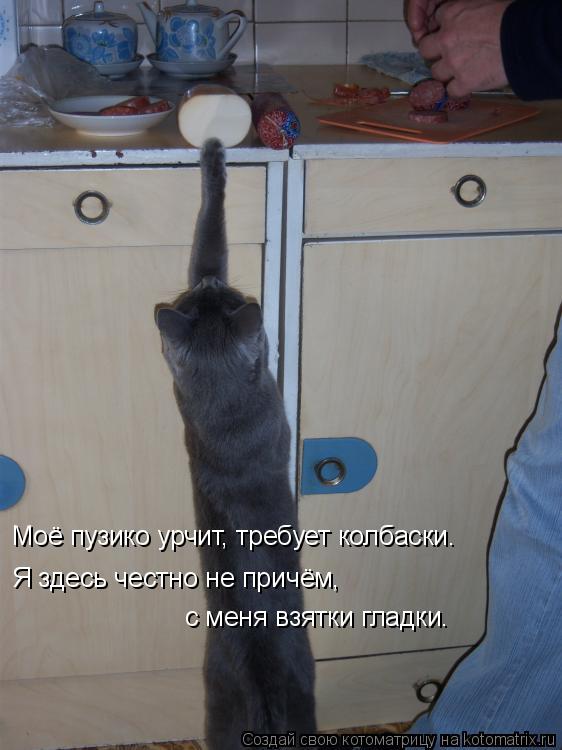 Котоматрица: Моё пузико урчит, требует колбаски. Я здесь честно не причём,  с меня взятки гладки.