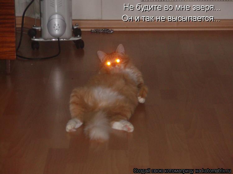 Котоматрица: Не будите во мне зверя... Он и так не высыпается...