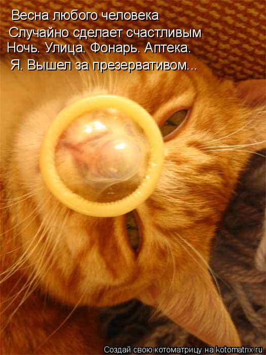 Котоматрица: Весна любого человека Случайно сделает счастливым Ночь. Улица. Фонарь. Аптека. Я. Вышел за презервативом...