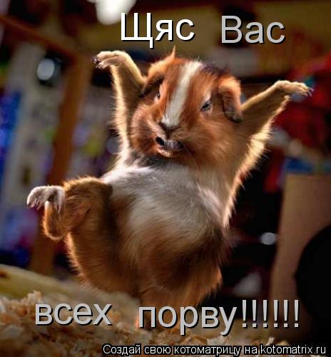Котоматрица: Щяс Вас всех порву!!!!!!