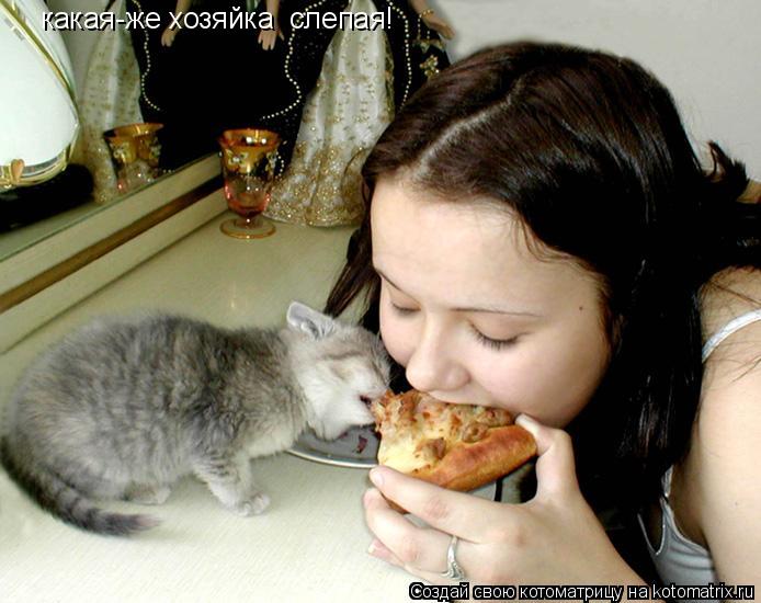Котоматрица: какая-же хозяйка  слепая!