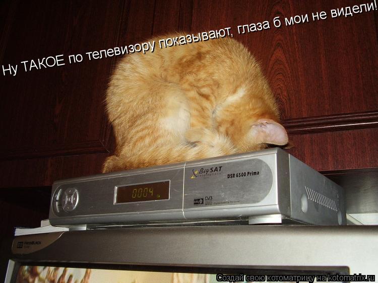 Котоматрица: Ну ТАКОЕ по телевизору показывают, глаза б мои не видели!