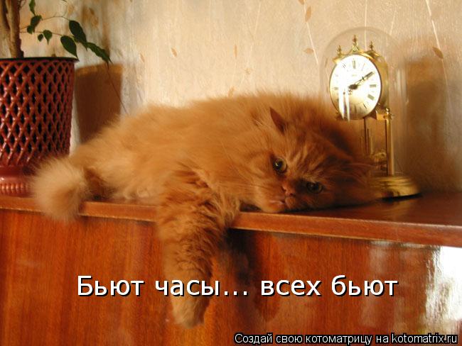 Котоматрица: Бьют часы... всех бьют Бьют часы... всех бьют