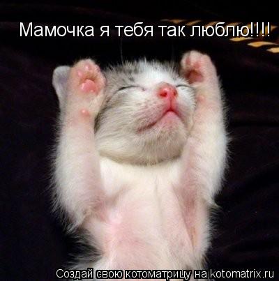 Котоматрица: Мамочка я тебя так люблю!!!!