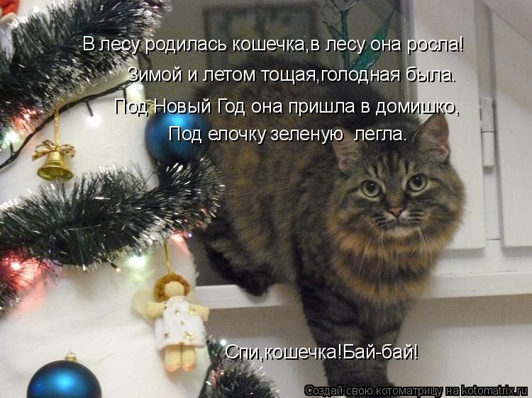 Котоматрица: В лесу родилась кошечка,в лесу она росла! Зимой и летом тощая,голодная была. Под Новый Год она пришла в домишко, Под елочку зеленую  легла. Сп