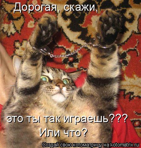 Дорогая, скажи, это ты так играешь??? Или что?... Котоматрица: Дорогая, скажи, это ты так играешь??? Или что?