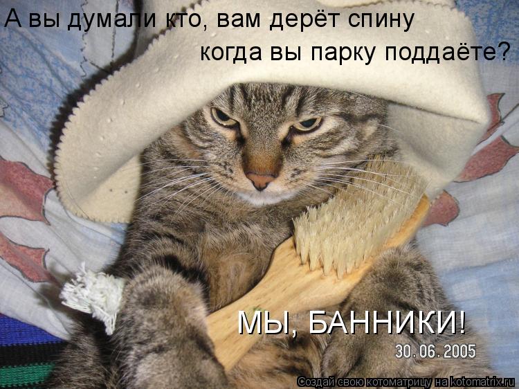 А вы думали кто, вам дерёт спину когда вы парку поддаёте? МЫ, БАННИКИ!... Котоматрица: А вы думали кто, вам дерёт спину когда вы парку поддаёте? МЫ, БАННИКИ!
