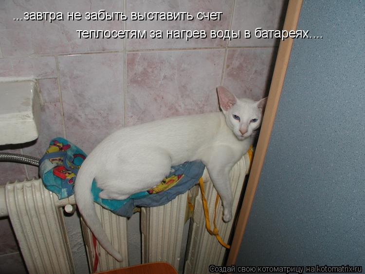 ...завтра не забыть выставить счет теплосетям за нагрев воды в батареях....... Котоматрица: ...завтра не забыть выставить счет теплосетям за нагрев воды в батареях....