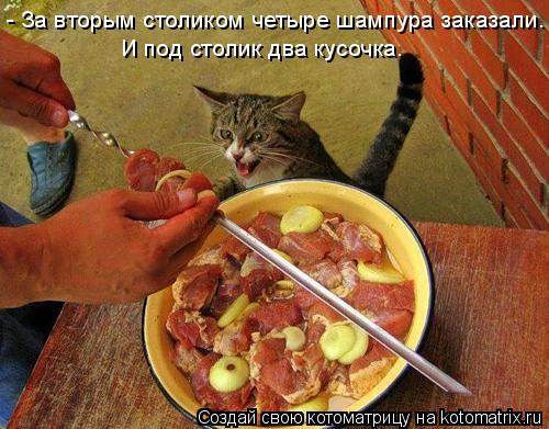 Котоматрица: - За вторым столиком четыре шампура заказали. И под столик два кусочка.