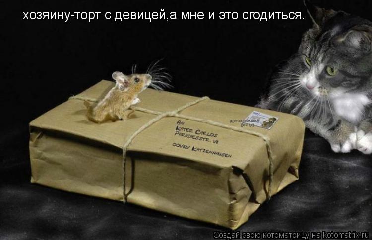 Котоматрица: хозяину-торт с девицей,а мне и это сгодиться.