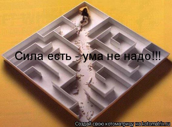 Сила есть - ума не надо!!!... Котоматрица: Сила есть - ума не надо!!!